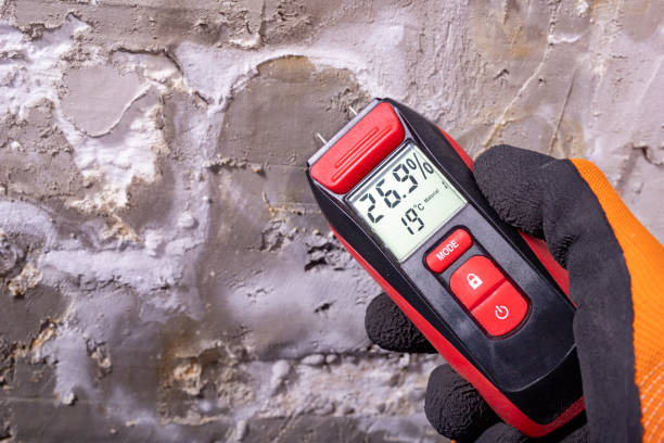 Best Mold Remediation for Schools in Springfield, GA