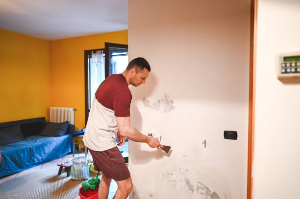 Trusted Springfield, GA Mold Remediation Experts